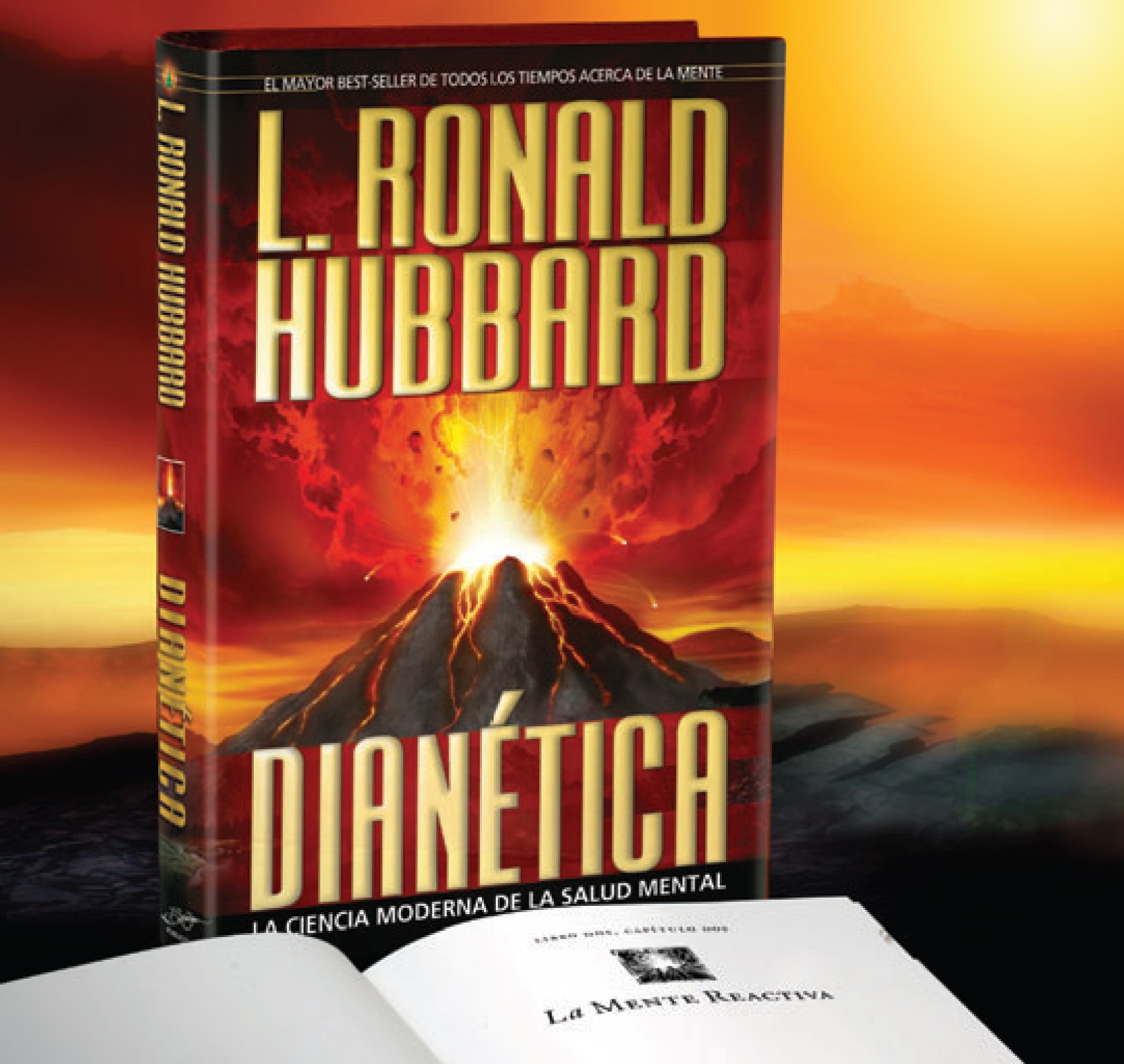 dmsmh-e1309399583187